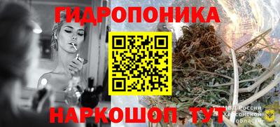 стаф Бердск