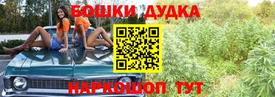 стаф Бердск